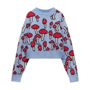 Zara Mushroom Print Sweater